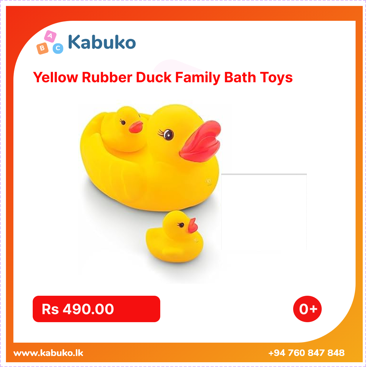 Cute Duck Family