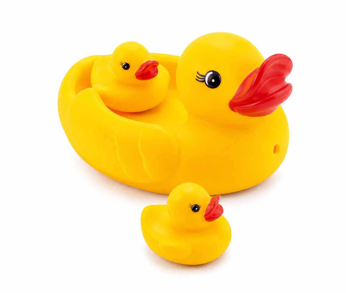 Cute Duck Family